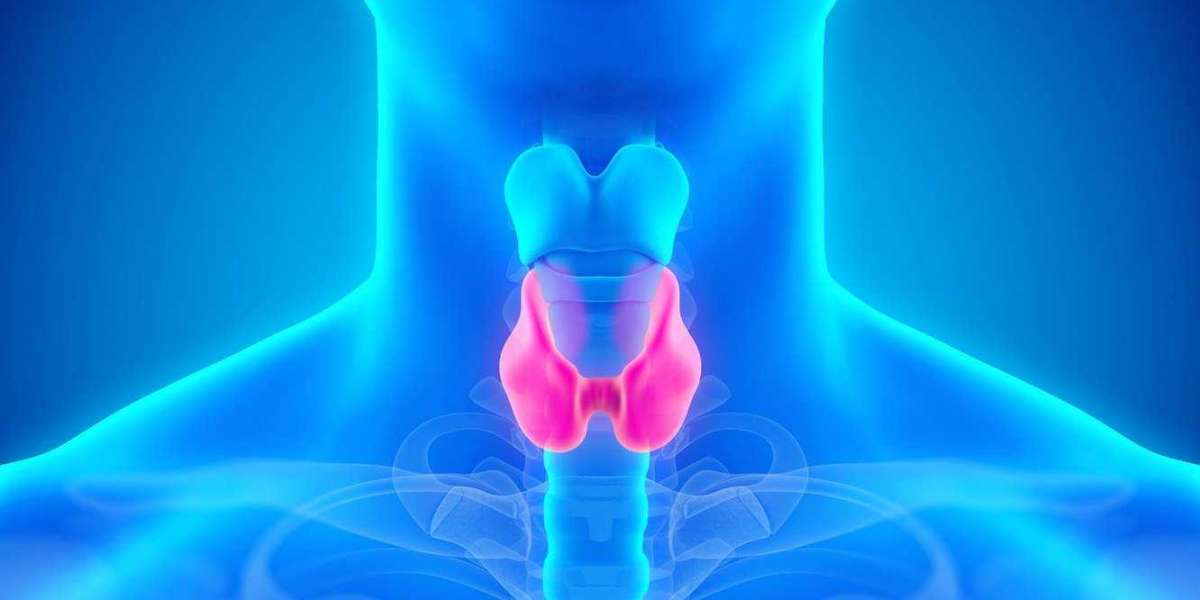 India Thyroid Function Test Market: Dynamics, Key Players, and Industry Projections till 2029 by TechSci Research