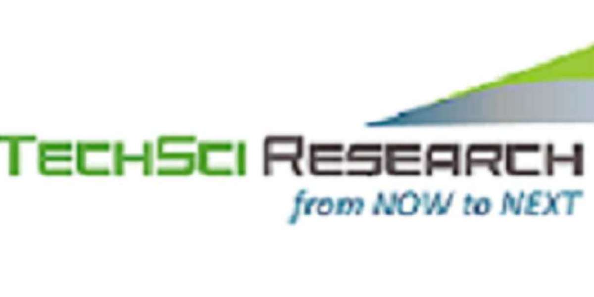 India Boiler Water Treatment Chemicals Market: Unveiling the Roadmap for Future Growth and Innovation by 2029 | TechSci 