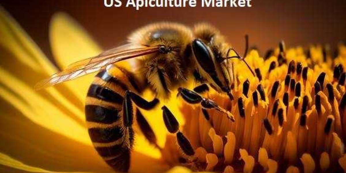 US Apiculture Market Size, Industry Analysis and Share, Forecast 2024 to 2032