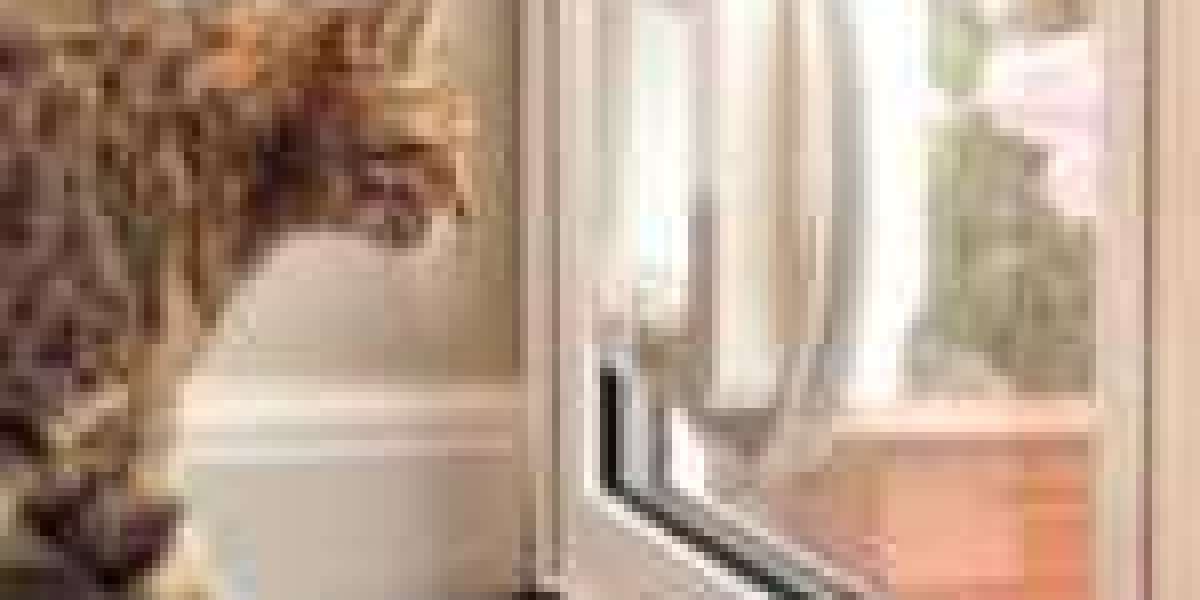 15 Amazing Facts About Cat Flap Repair