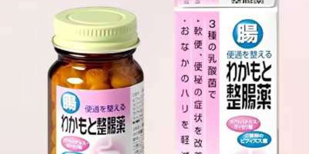 Wakamoto 若元錠與整腸藥差別在哪？詳細對比