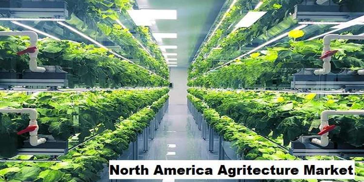 North America Agritecture Market Expands with Urban Farming Innovations
