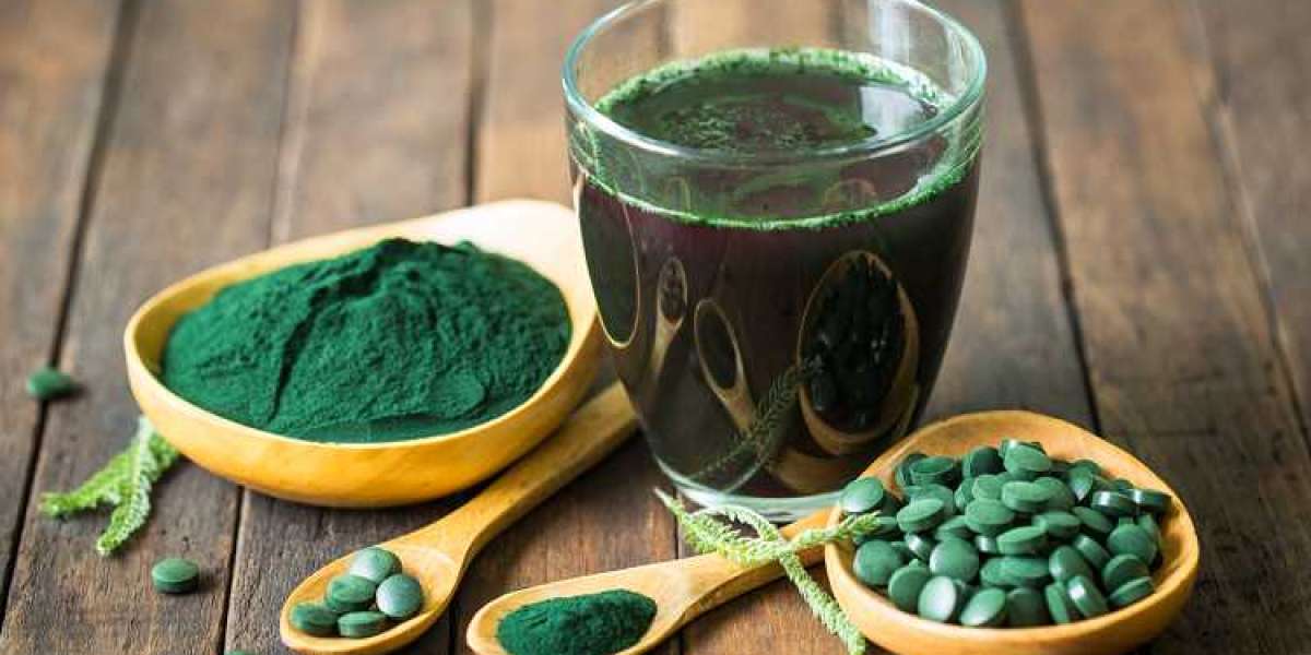 Algae Products Market Sees Growth From Rising Plant-Based Protein Needs
