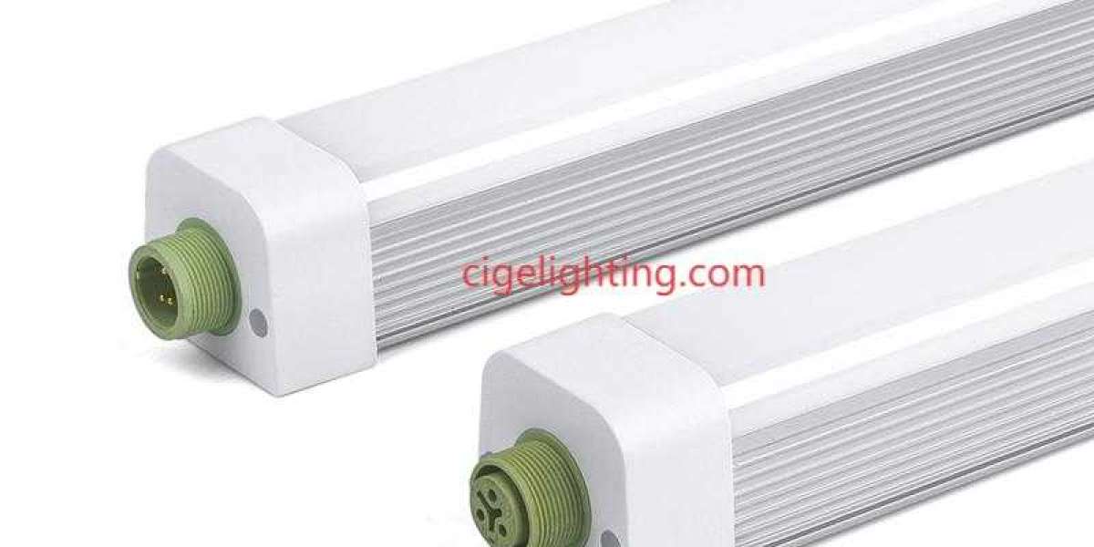 Partner with Cigelighting Waterproof Fixture Manufacturer