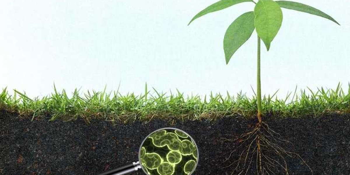 Agriculture Enzymes Market To Grow With Rise In Organic Food Consumption