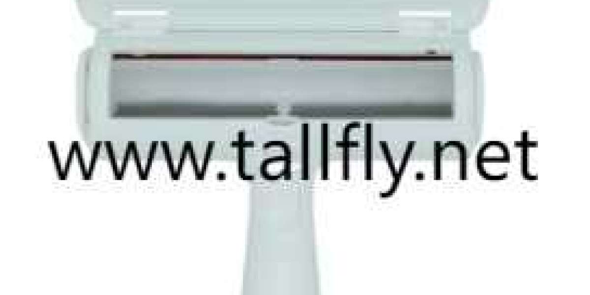 Elevate Pet Style Using China Dog Collar Manufacturer Expertise