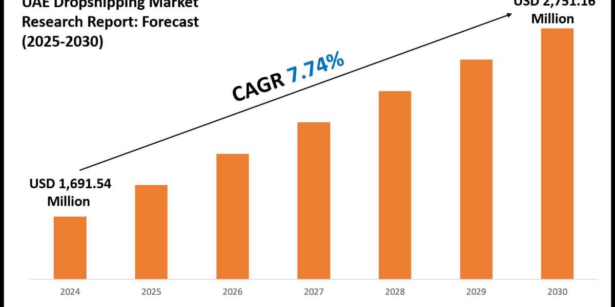 2025–2030 UAE Dropshipping Market Landscape: Growth, Share & Opportunities