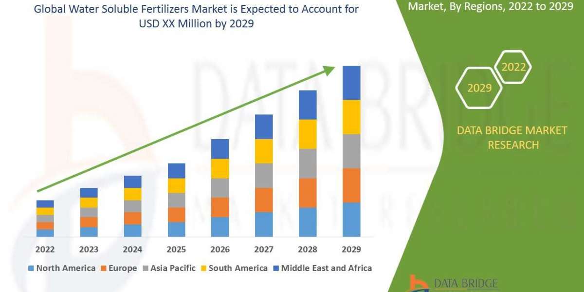Water Soluble Fertilizers Market : Report 2025 –2032: Key Trends and Projections