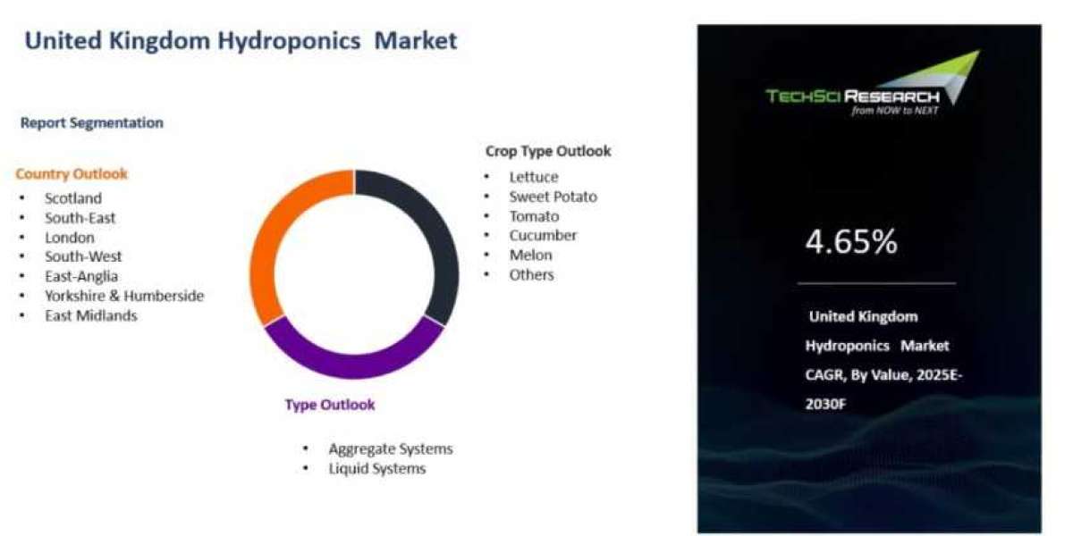 United Kingdom Hydroponics Market Sees Boost from Tech Advancements
