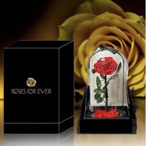 Gifts/Add Ons Archives - Floral Affairs