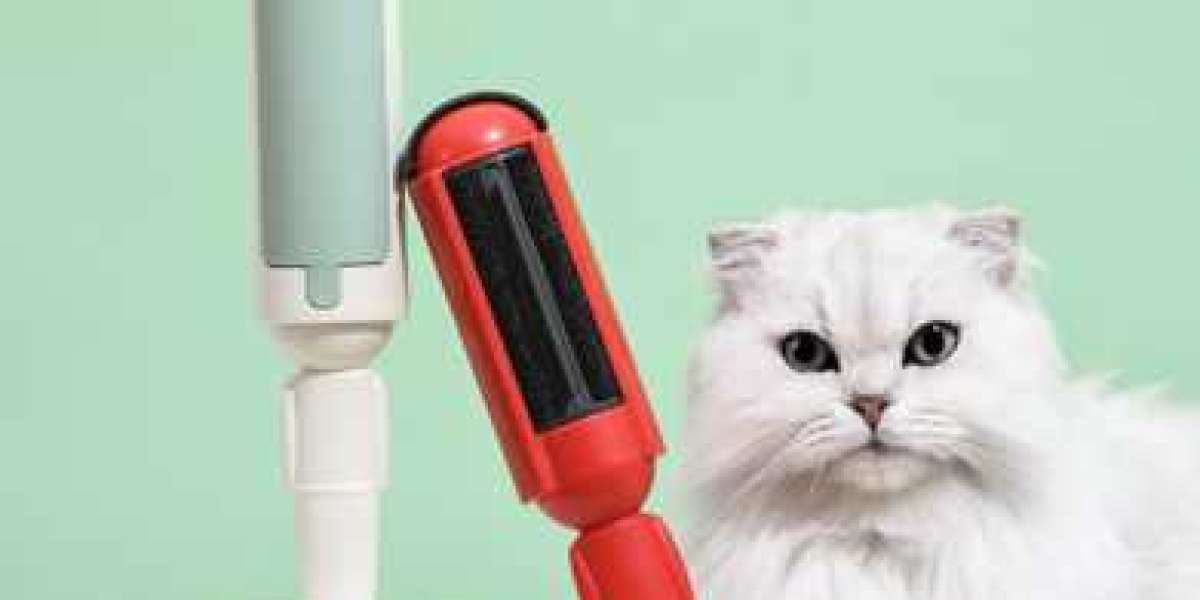 Why Pet Owners Prefer the Opey Hair Remover Roller Solution