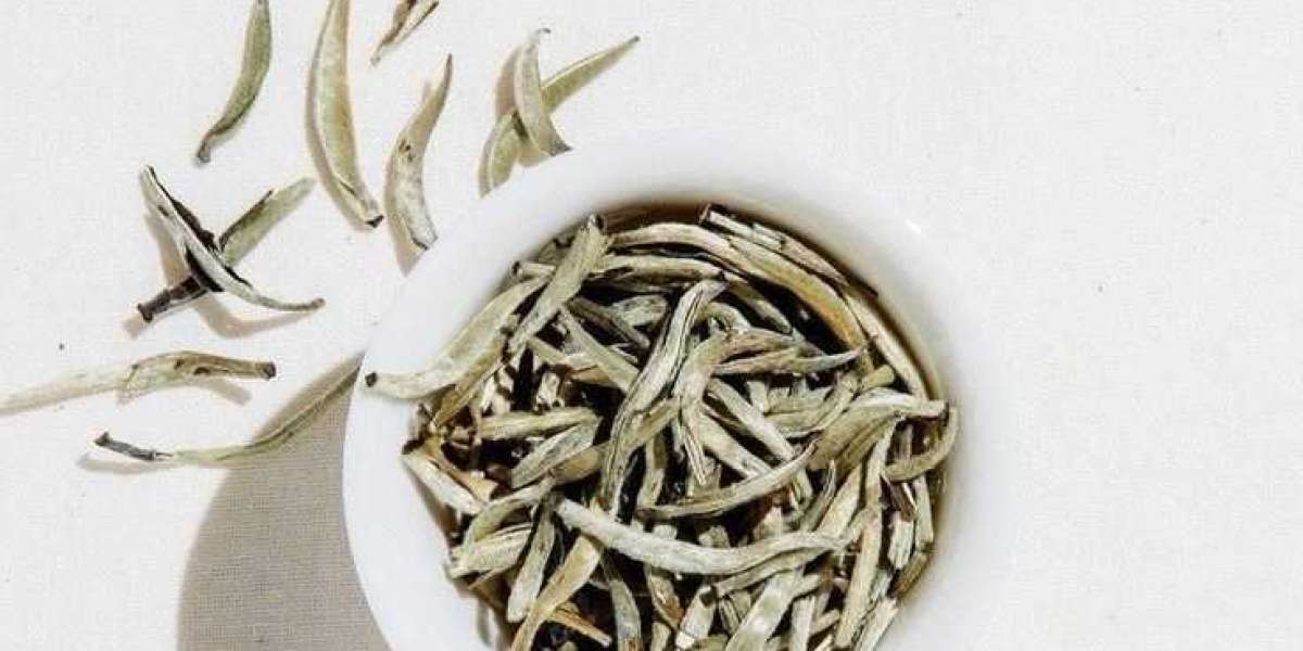 The Timeless Elegance of White Tea: A Journey Through History, Craftsmanship, and Modern Appreciation