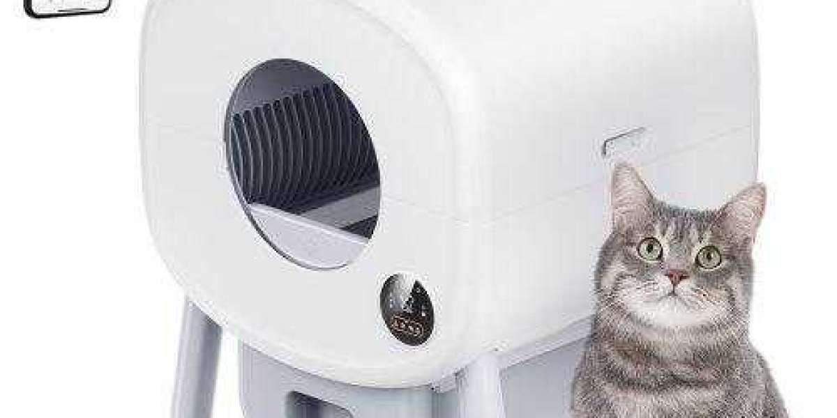 What Sets Pawtechpet Automatic Cat Litter Box Apart?
