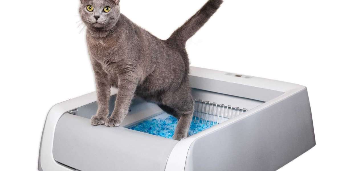 Why Choose PawTechPet Smart Cat Litter Boxes?