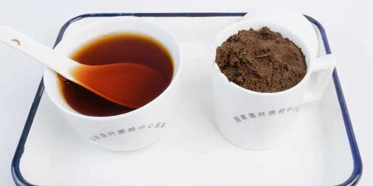 How to Choose the Right Tea Bags for Your Lifestyle