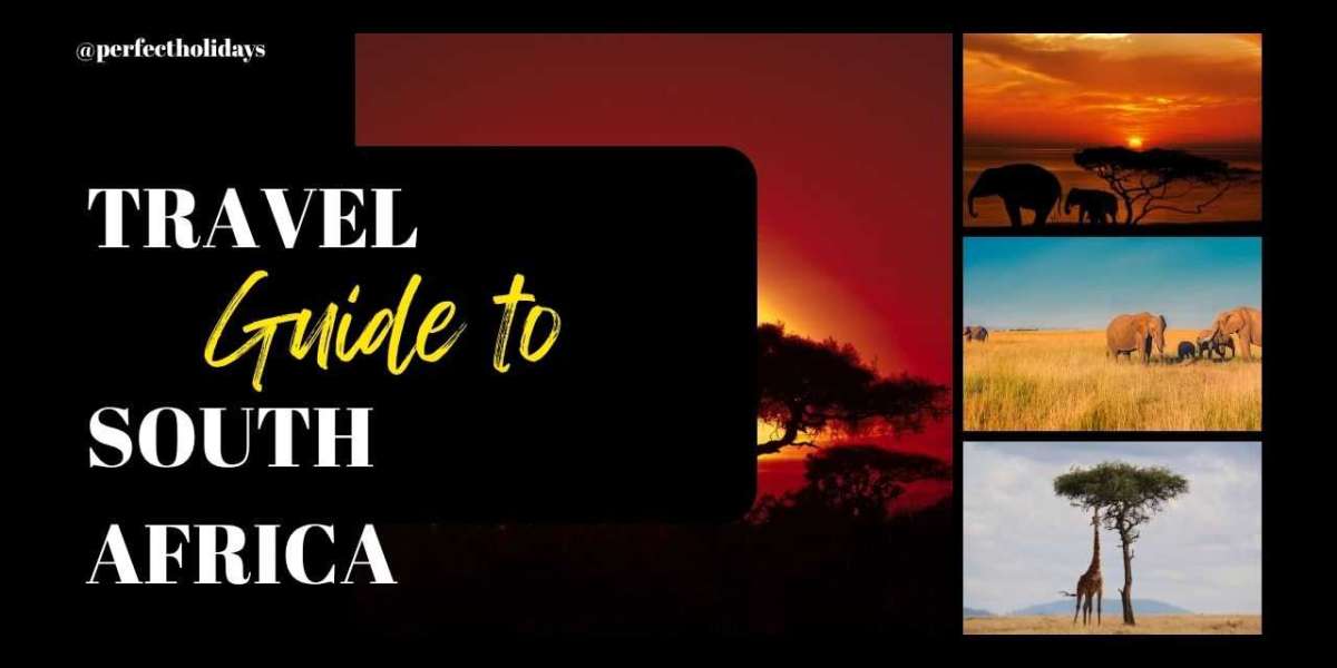 Travel Guide to South Africa in 2025/2026