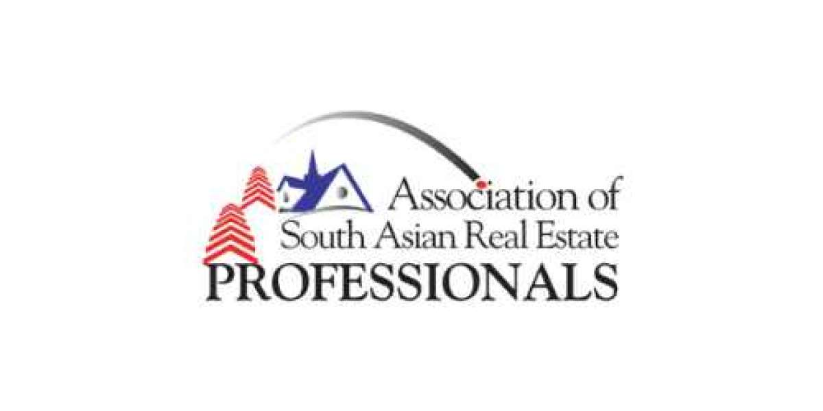 South Asian Professionals Networking – Building Bridges for Growth and Success