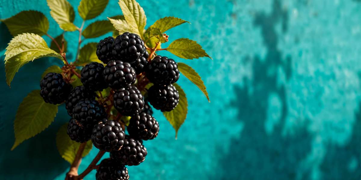 Common Blackberry Pests and How to Stop Them