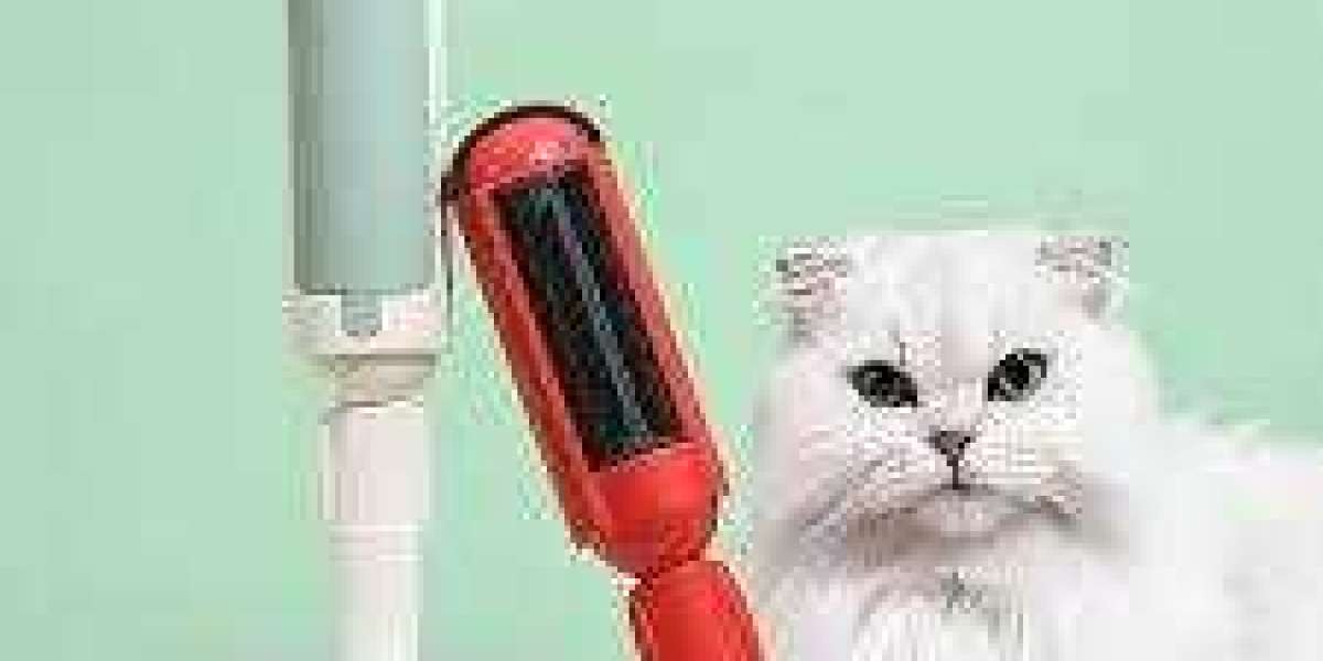 Tallfly Fabric Care: Hair Remover Roller Tips for Daily Home Maintenance
