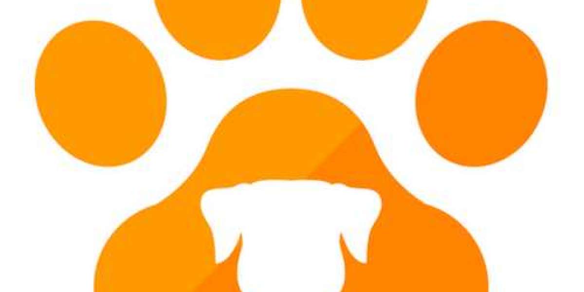 Confort et style pour votre chien Achetez des paniers et coussins pour chiens en ligne