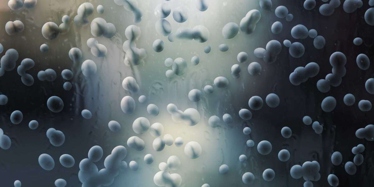 Best Online Installment Loans No Credit Check: A Complete Guide