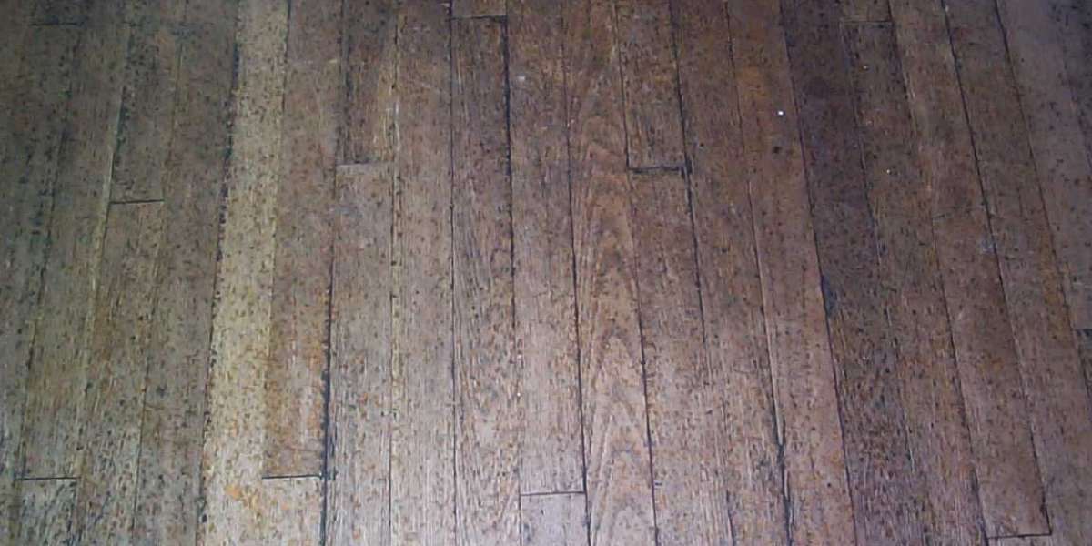 KPV Peptide: Unlocking the Mechanisms Behind Accelerated Wound Healing