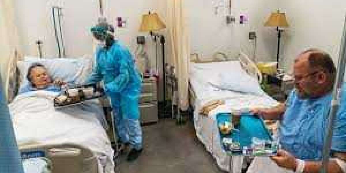 Regional Growth Insights: The Expanding Landscape of the Americas Hospital Bed Market Region