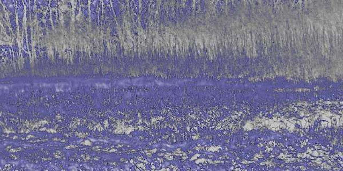 Rocketplay Casino No Deposit Bonus Codes 2025