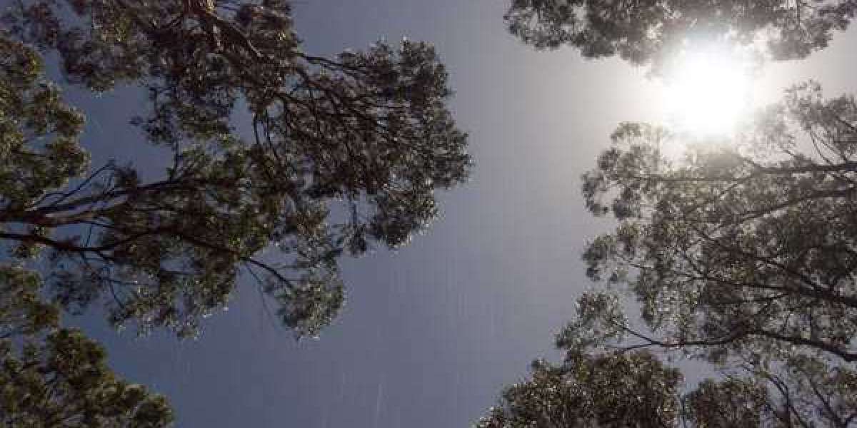 Experience Thrilling Slots and Pokies at Lucky Ones Casino