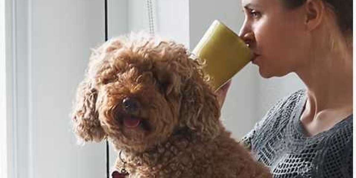 Modify Home Modifications: The Bridge Between Safety and Independence