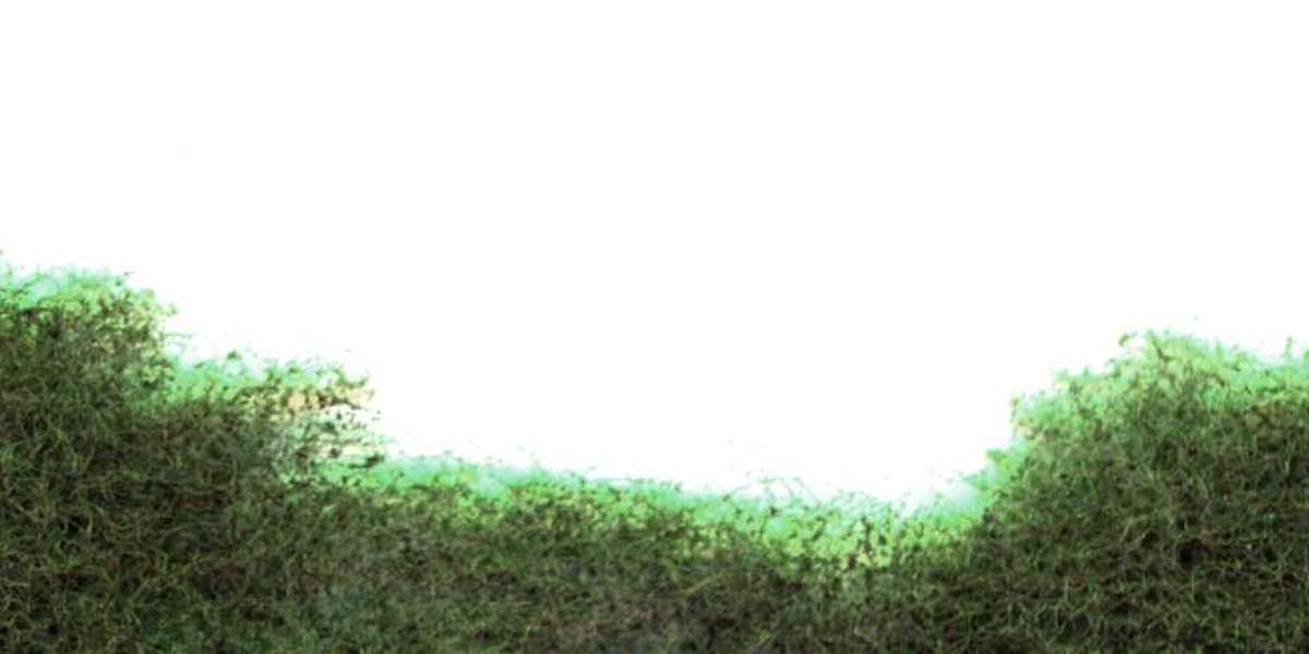 Meet the People Behind the Play