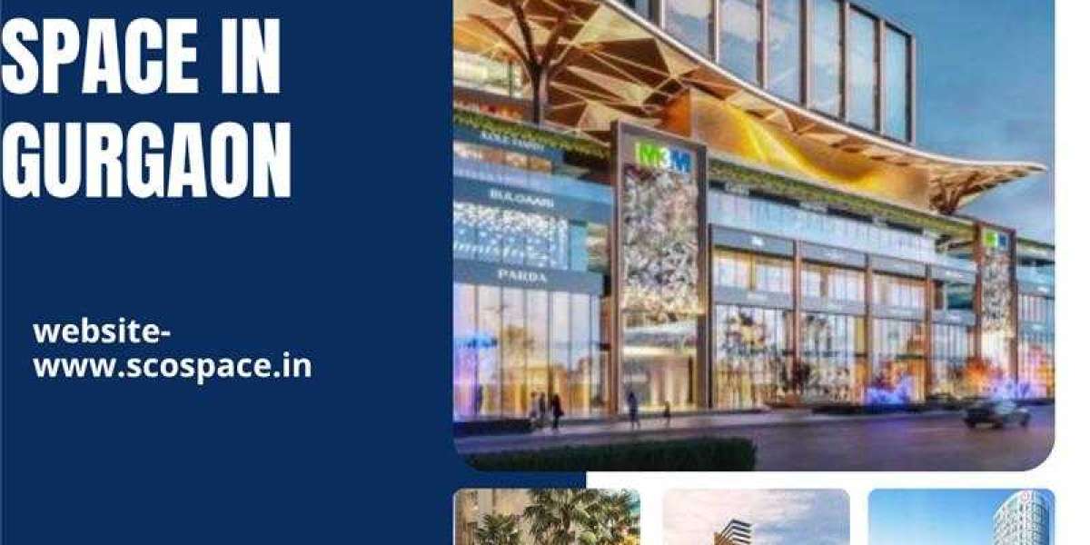 Pyramid Grand Vista Gurgaon: Trusted Developer and Project Overview