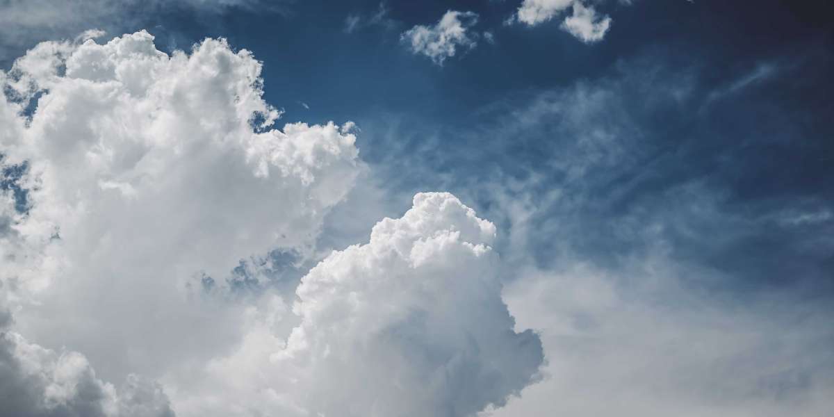 Unlock the Secrets of 3D Printing: Discover the Ultimate Showdown Between PETG and PLA Filaments!