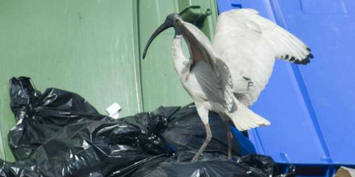 Bonuses, Games & Secure Payments 2025