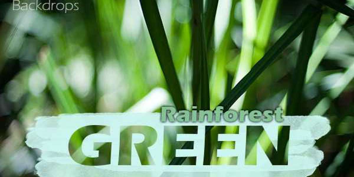 15 Best Online Casinos Australia 2025 Real Money Casino Sites