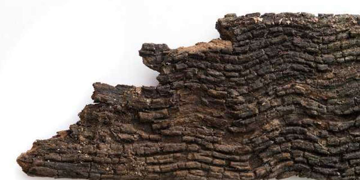 Access Live Casino and Betting